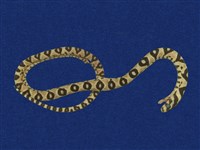 高砂蛇藏品圖，第10張